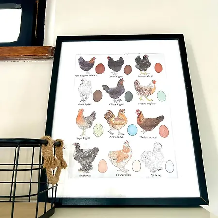 Fattoria Coppetella Cemani *